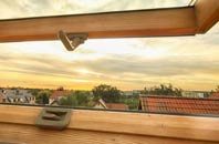 rated Whistlow roof window companies